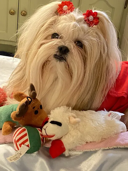 Pet Wellness Center, Veterinarian Picture 10