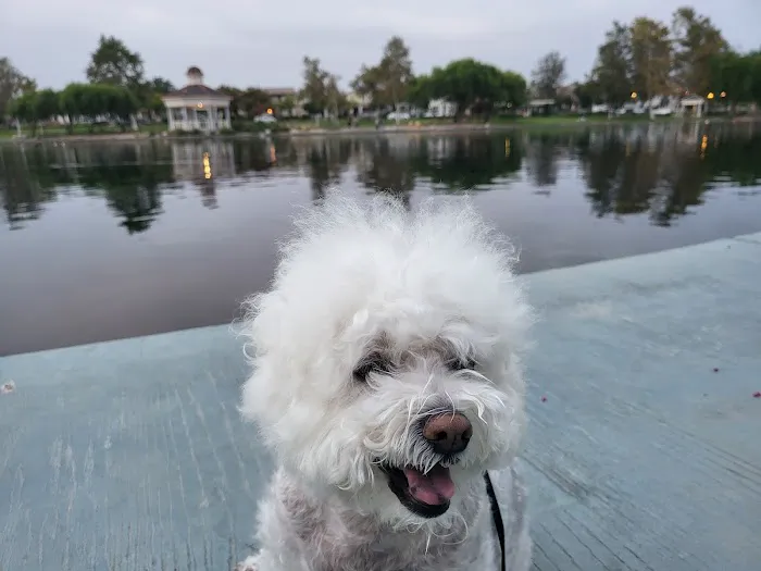 Pet Wellness Center, Veterinarian Picture 6