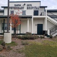 Clinton Keith Veterinary Hospital ico