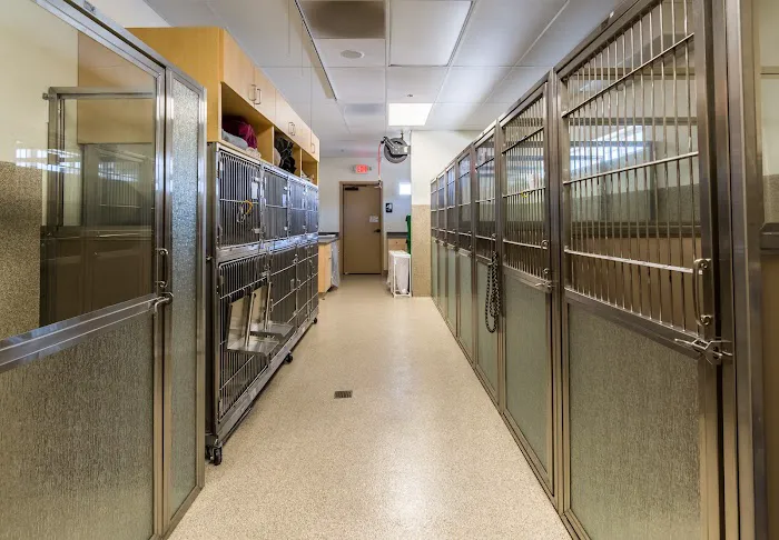 Clinton Keith Veterinary Hospital Picture 5