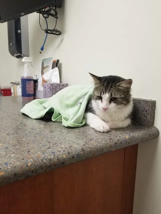 Clinton Keith Veterinary Hospital Picture 10