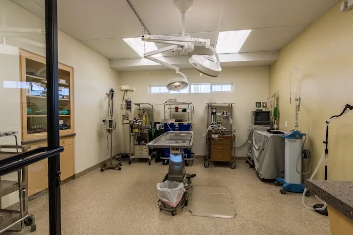 Clinton Keith Veterinary Hospital Picture 8