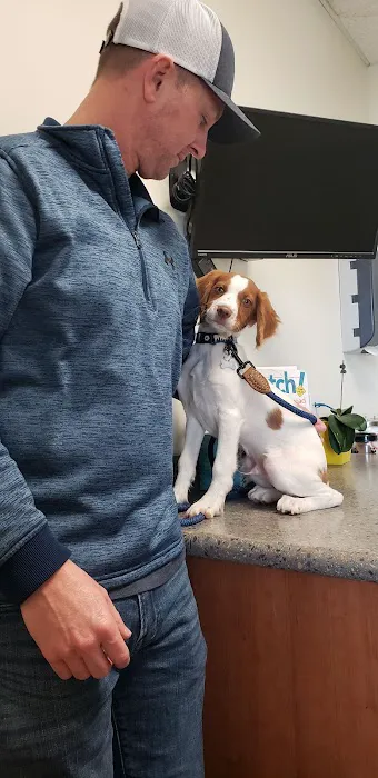 Clinton Keith Veterinary Hospital Picture 7