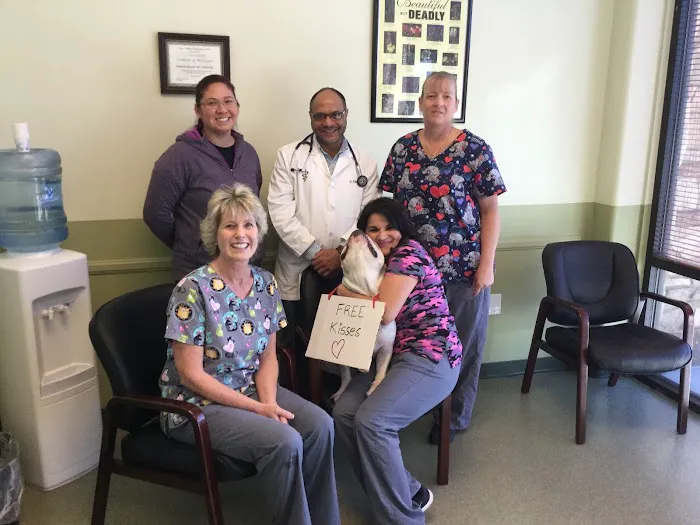 French Valley Veterinary Hospital Picture 2