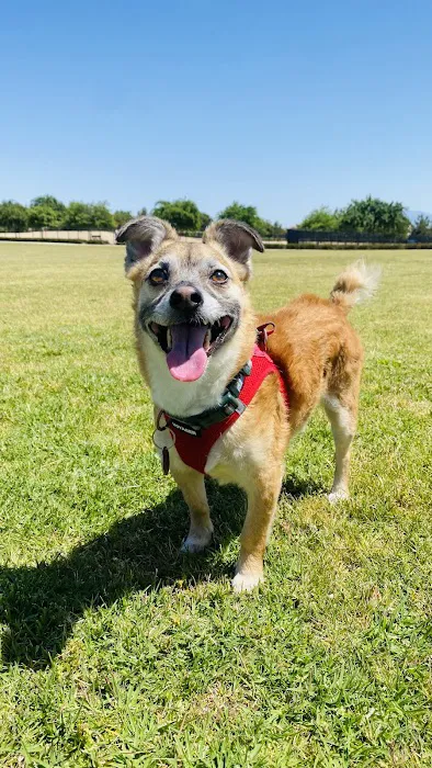 French Valley Veterinary Hospital Picture 5