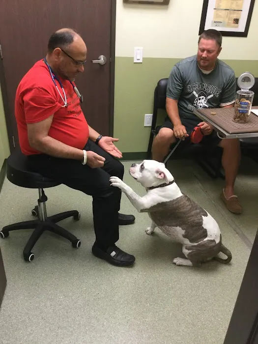 French Valley Veterinary Hospital Picture 4