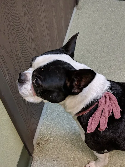 French Valley Veterinary Hospital Picture 3