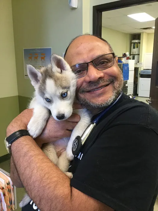 French Valley Veterinary Hospital Picture 8