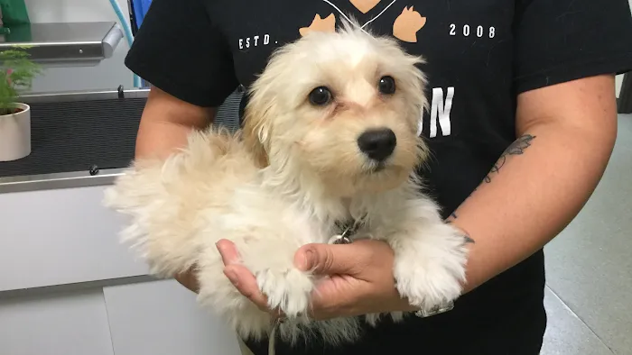 French Valley Veterinary Hospital Picture 7