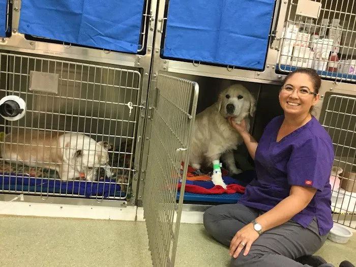 French Valley Veterinary Hospital Picture 10