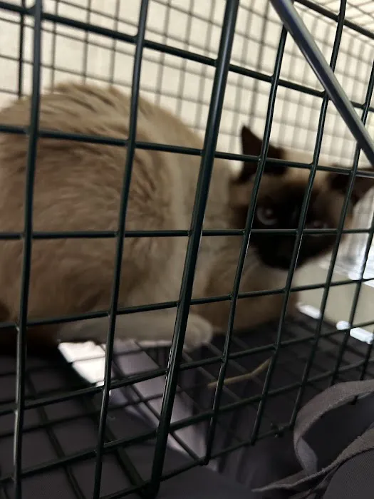 Golden Coast Veterinary Care Picture 1