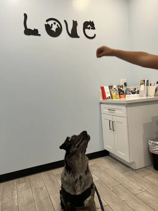 Golden Coast Veterinary Care Picture 4