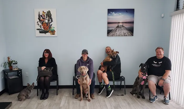 Golden Coast Veterinary Care Picture 7