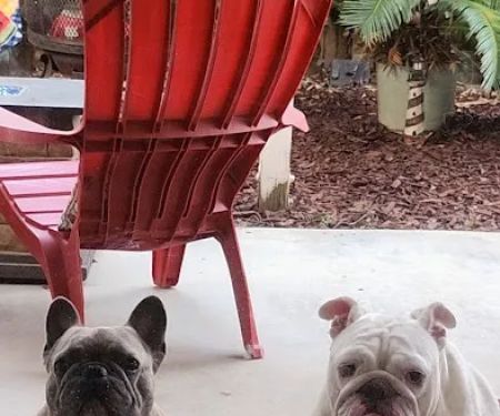 Murrieta Oaks Veterinary Hospital