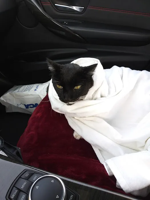 VCA California Oaks Animal Hospital Picture 1