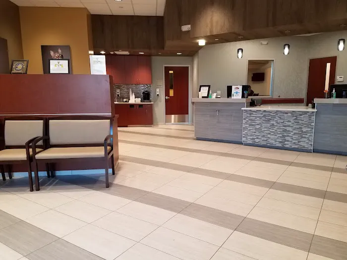 VCA California Oaks Animal Hospital Picture 7