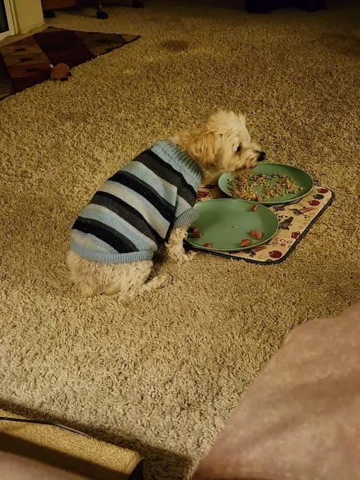 VCA California Oaks Animal Hospital Picture 9