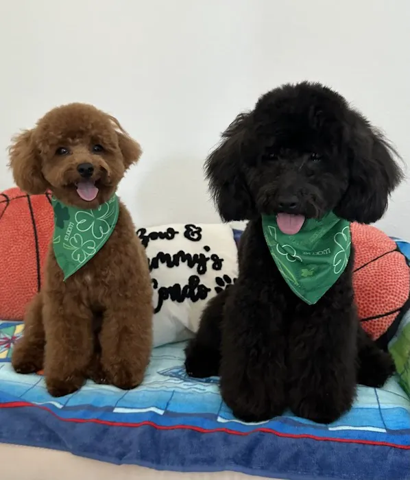 SoCal Pet Hospital Picture 6