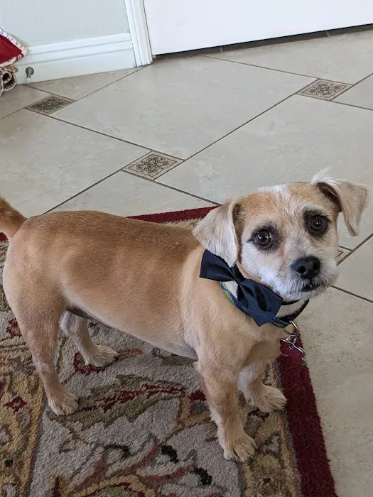 SoCal Pet Hospital Picture 7