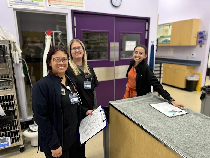 SoCal Pet Hospital Picture 10