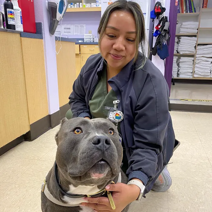 SoCal Pet Hospital Picture 8