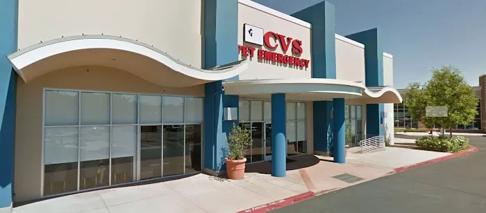 Animal Dermatology Clinic Picture 1