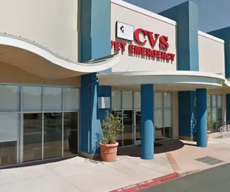 Animal Dermatology Clinic