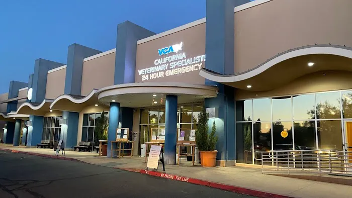 VCA California Veterinary Specialists-Murrieta Picture 1