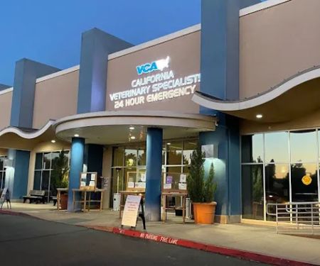 VCA California Veterinary Specialists-Murrieta