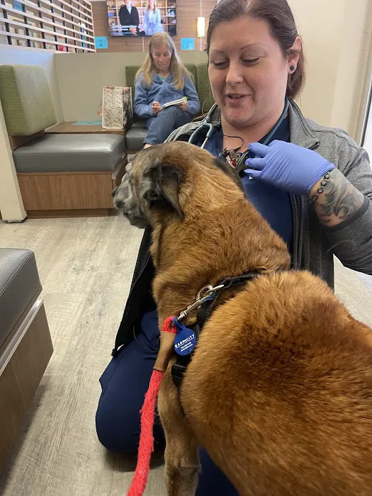 VCA California Veterinary Specialists-Murrieta Picture 5