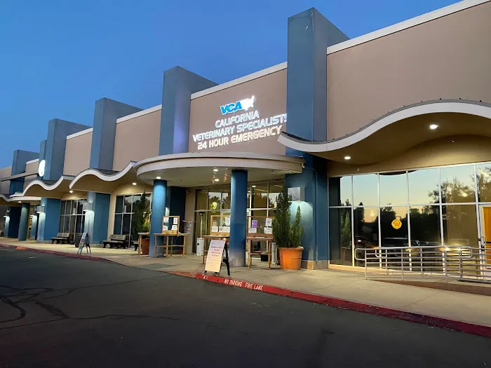 VCA California Veterinary Specialists-Murrieta Picture 10