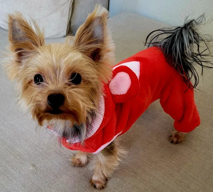 Meadowridge Animal Hospital Picture 1