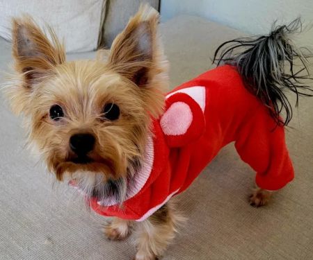 Meadowridge Animal Hospital