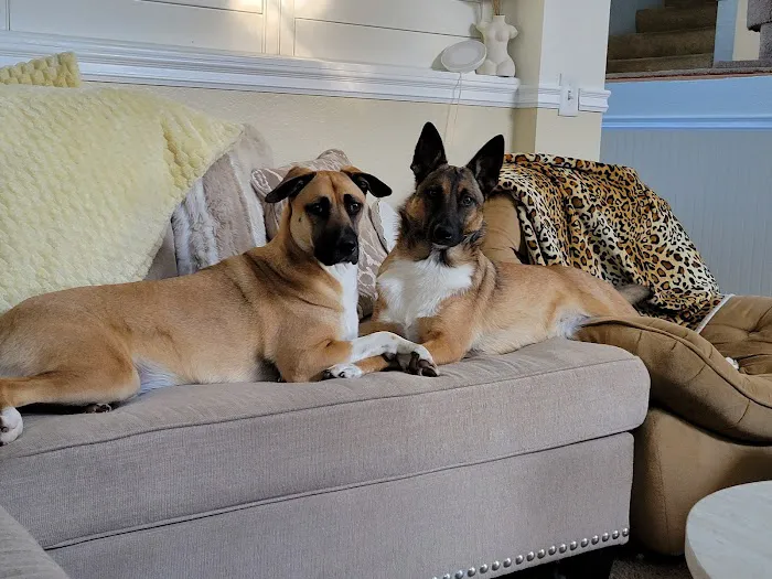 Meadowridge Animal Hospital Picture 2