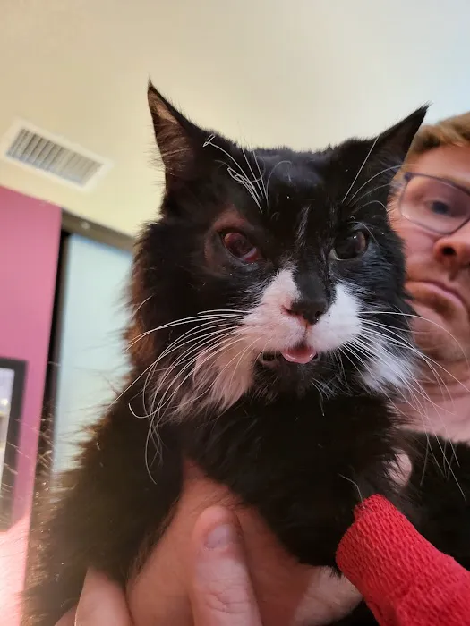 Meadowridge Animal Hospital Picture 6