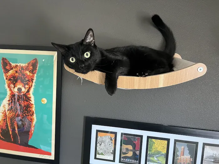 Meadowridge Animal Hospital Picture 4