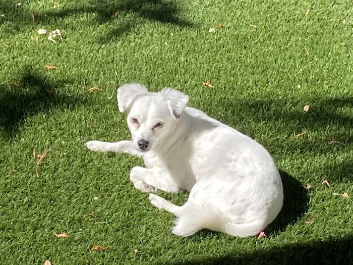 Meadowridge Animal Hospital Picture 8