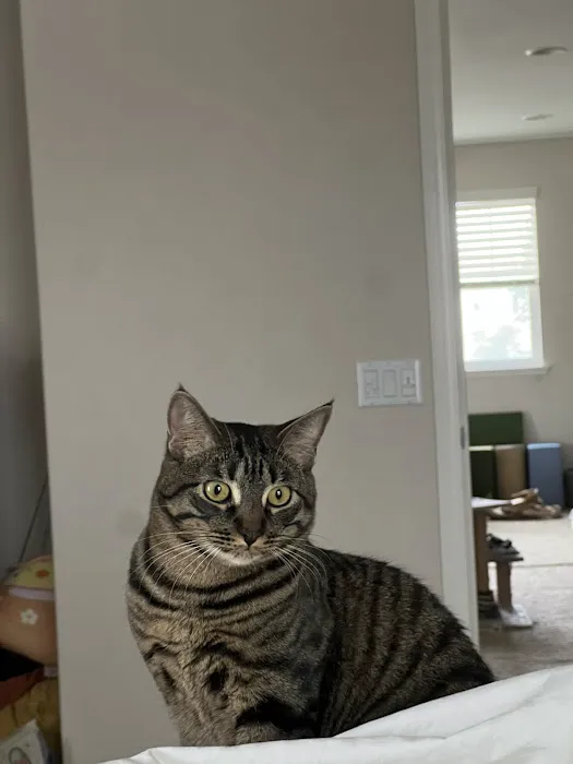 Meadowridge Animal Hospital Picture 5