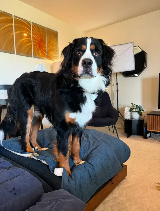 Meadowridge Animal Hospital Picture 7