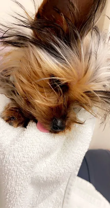 Animal Hospital: Hill S L DVM Picture 1