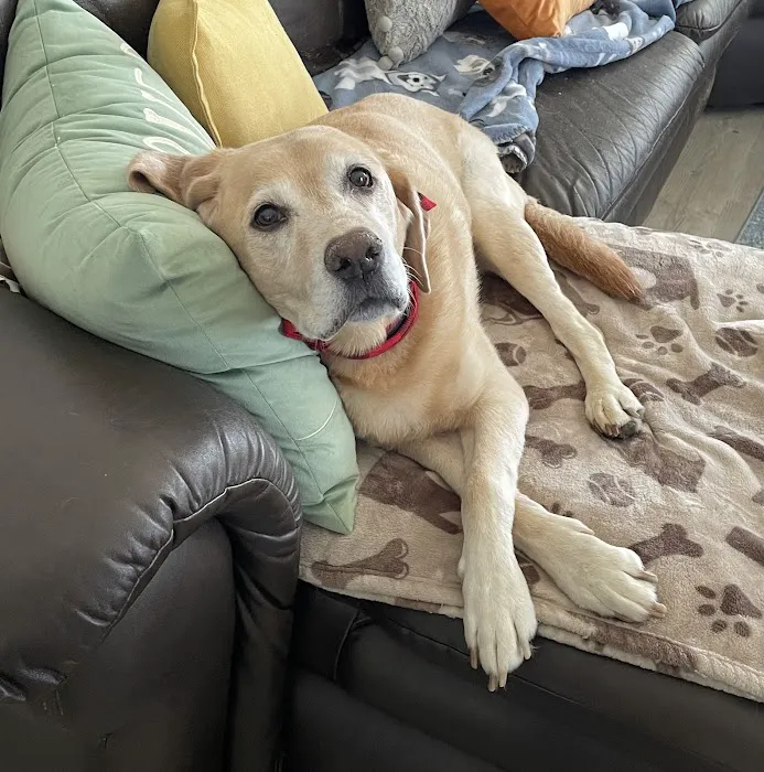 Animal Hospital Picture 1