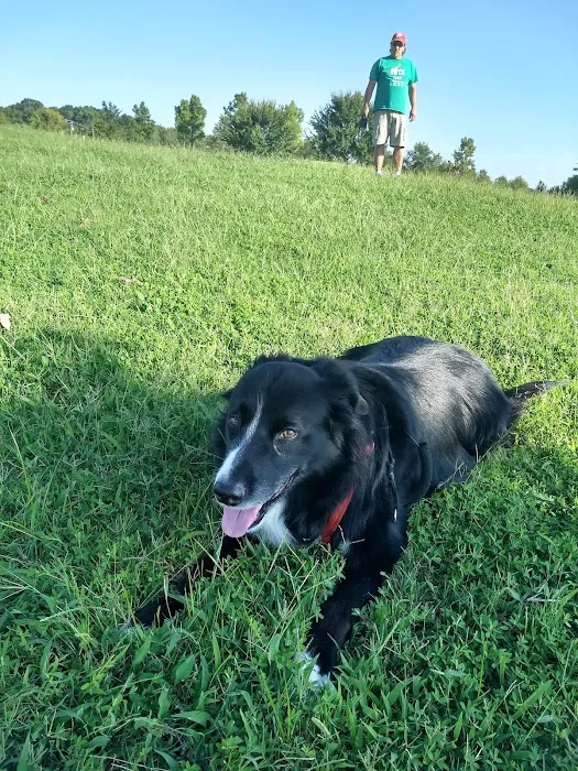 Animal Hospital Picture 9