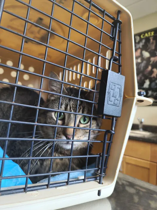 Animal Hospital Picture 5