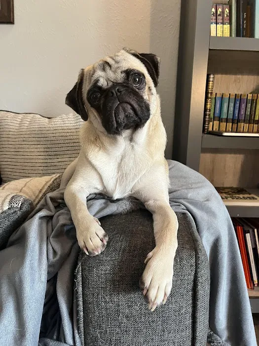 Animal Hospital Picture 10