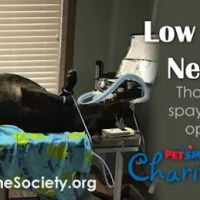 Humane Society of Clarksville-Montgomery County ico