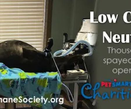 Humane Society of Clarksville-Montgomery County