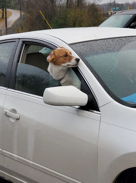 Humane Society of Clarksville-Montgomery County Picture 8