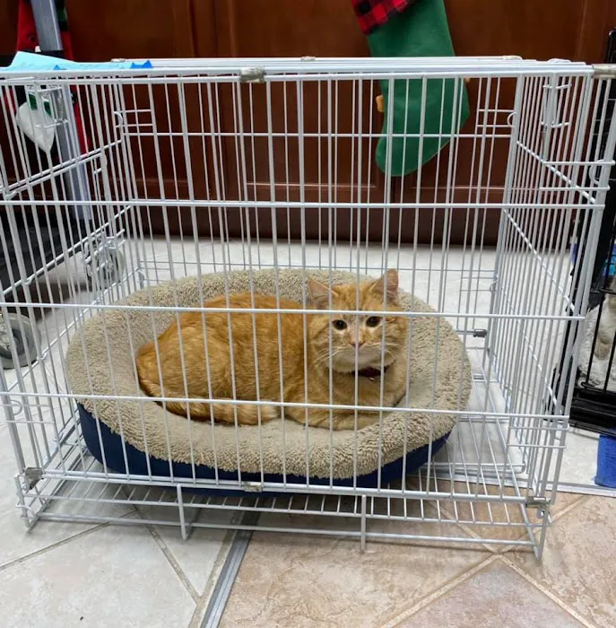 Humane Society of Clarksville-Montgomery County Picture 10