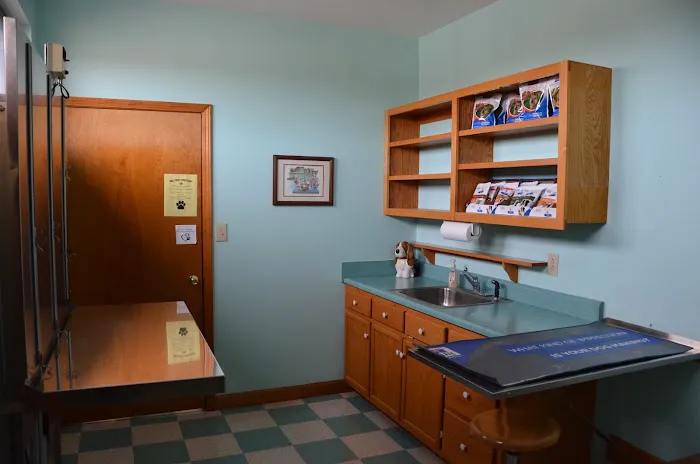 Overwatch Animal Hospital Picture 4