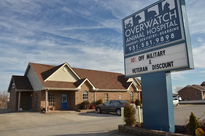 Overwatch Animal Hospital Picture 2